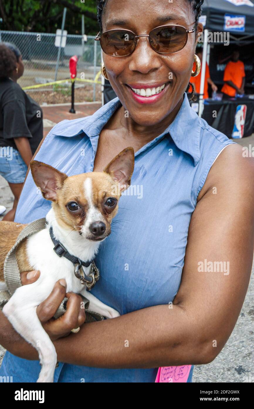 Miami Florida,Coconut Grove Grand Avenue Africains noirs africains,femme chien animal Chihuahua petit chien tient tenant, Banque D'Images