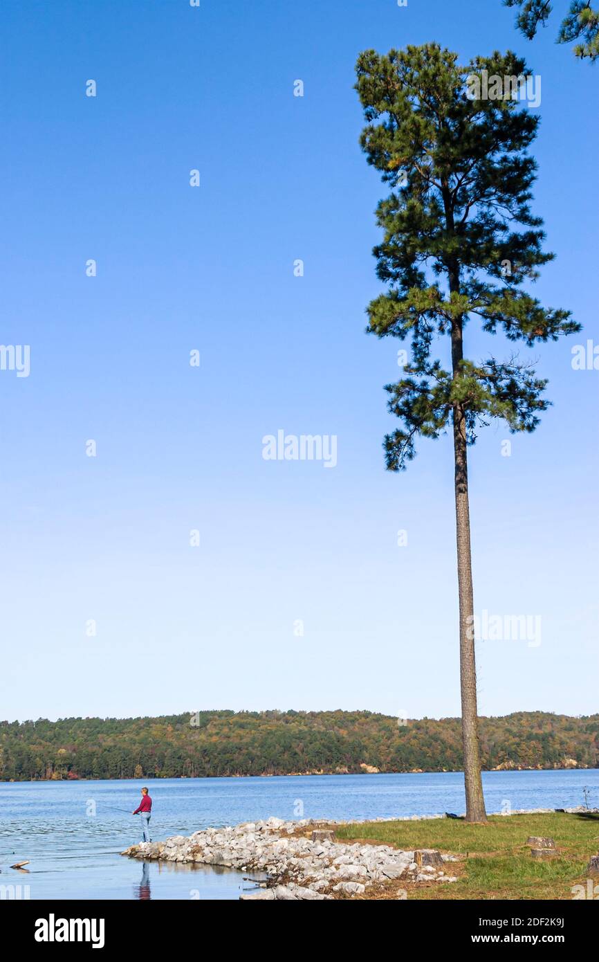 Terrain de camping Alabama Lake Guntersville State Park, pêche eau pin arbre homme pêcheur paysage naturel, Banque D'Images