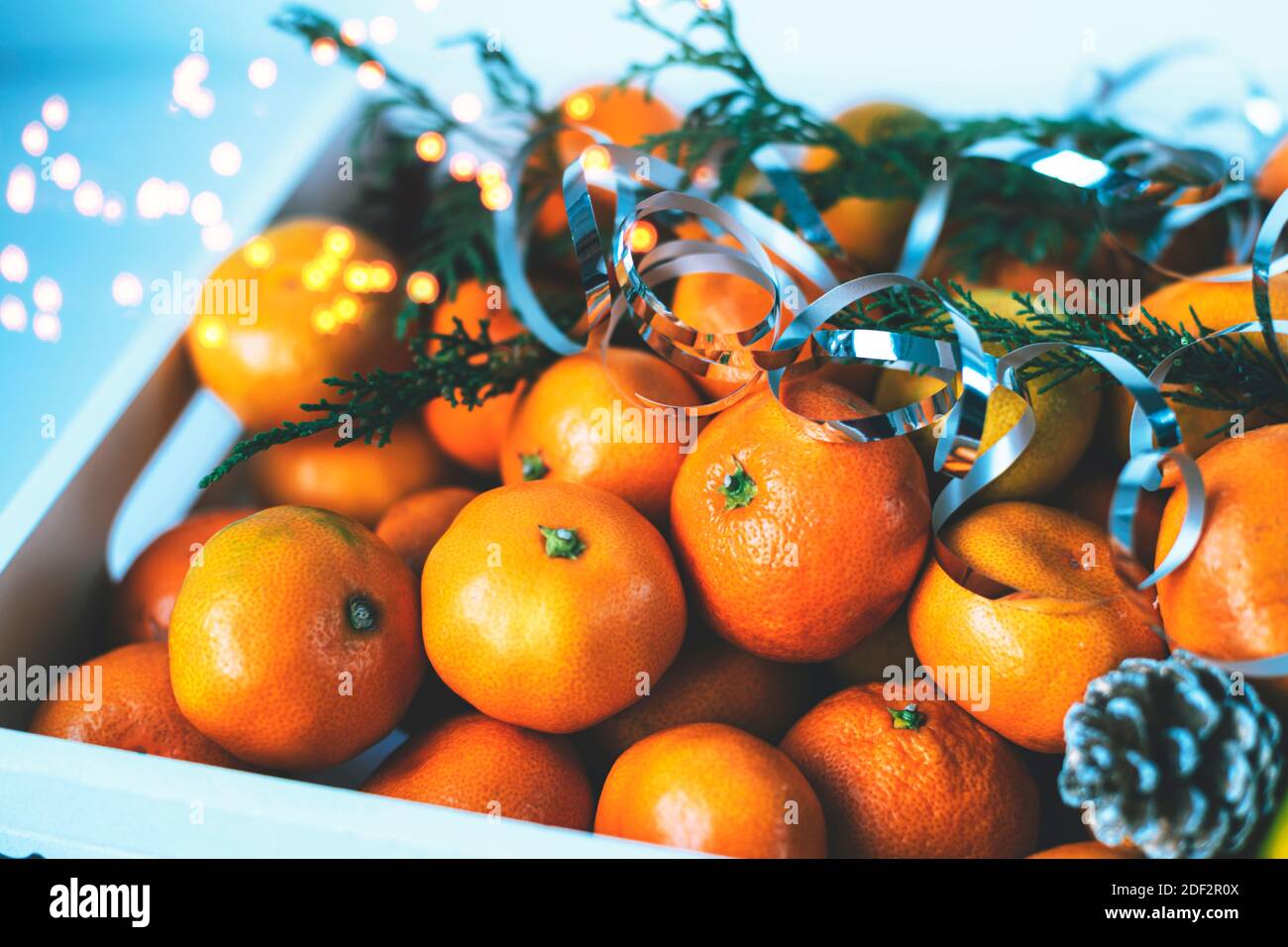 Boîte de mandarine décorée de branches de cyprès et de guirlandes d'arbres de Noël. Concept de la nouvelle année. Gros plan. Banque D'Images
