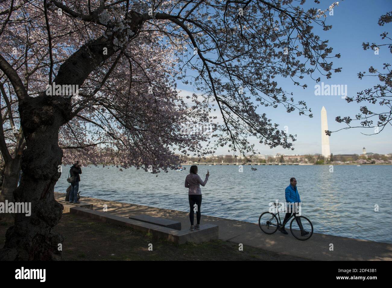Une foule très clairsemée de gens visitent le bassin de Tidal et les cerisiers en fleurs alors que les États-Unis traitent de la pandémie COVID-19 à Washington, DC, USA, le mardi 17 mars 2020. Photo de Rod Lamkey/CNP/ABACAPRESS.COM Banque D'Images