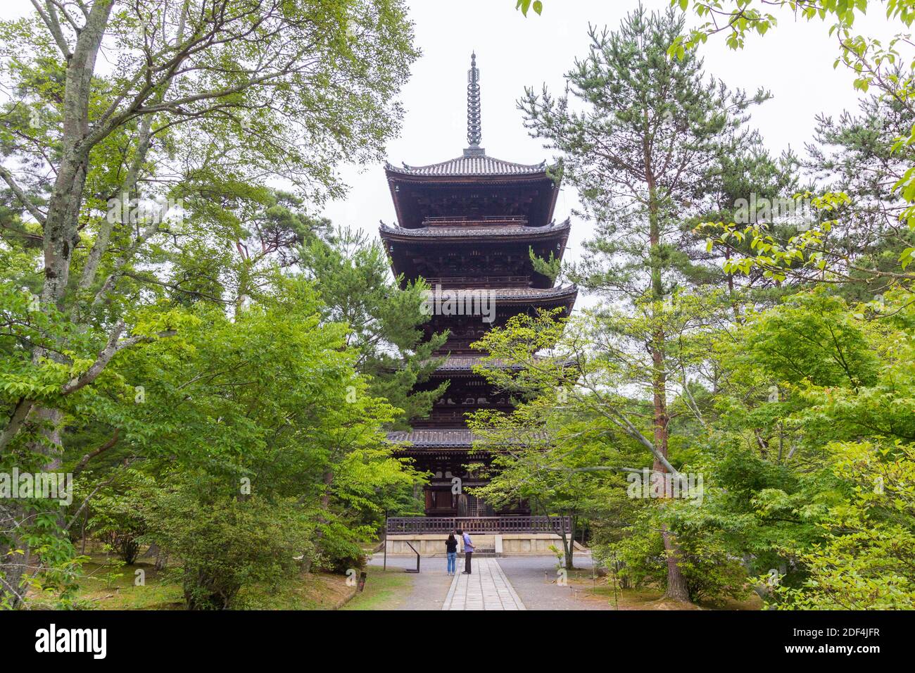 La pagode à cinq niveaux à l'intérieur du complexe du temple To-ji à Kyoto, Japon Banque D'Images
