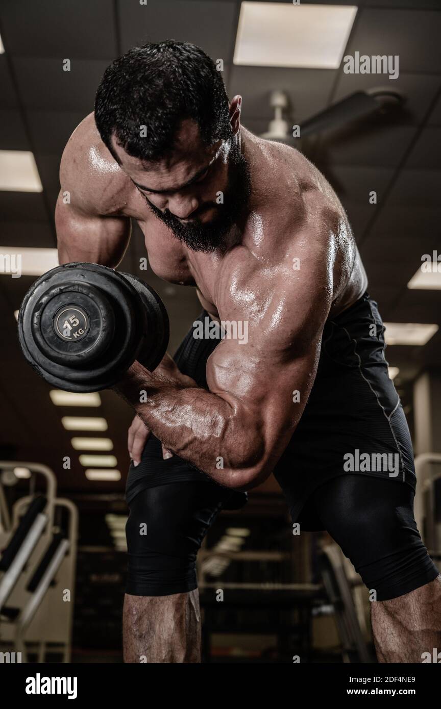 muscle biceps d'entraînement de jeune homme fort en utilisant une lourde haltère salle de sport Banque D'Images