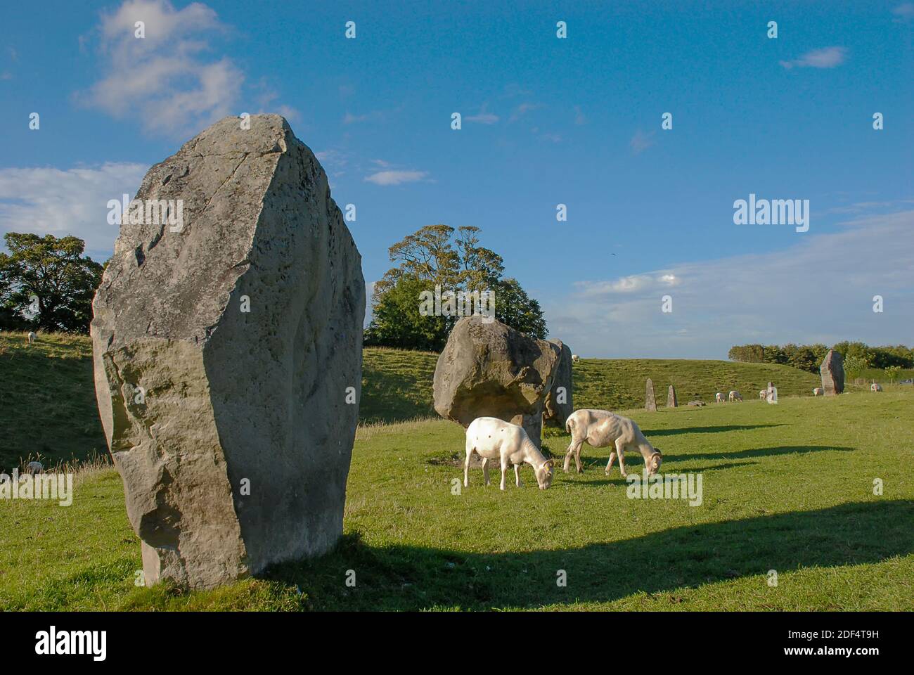 Partie du cercle de pierres d'Avebury à Wiltshire, en Angleterre Banque D'Images