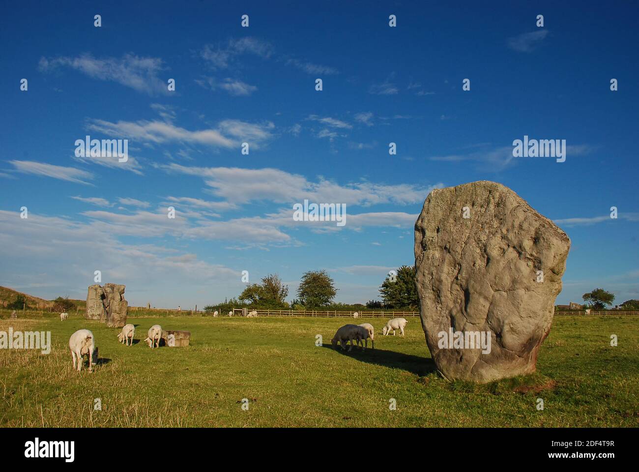 Partie du cercle de pierres d'Avebury à Wiltshire, en Angleterre Banque D'Images