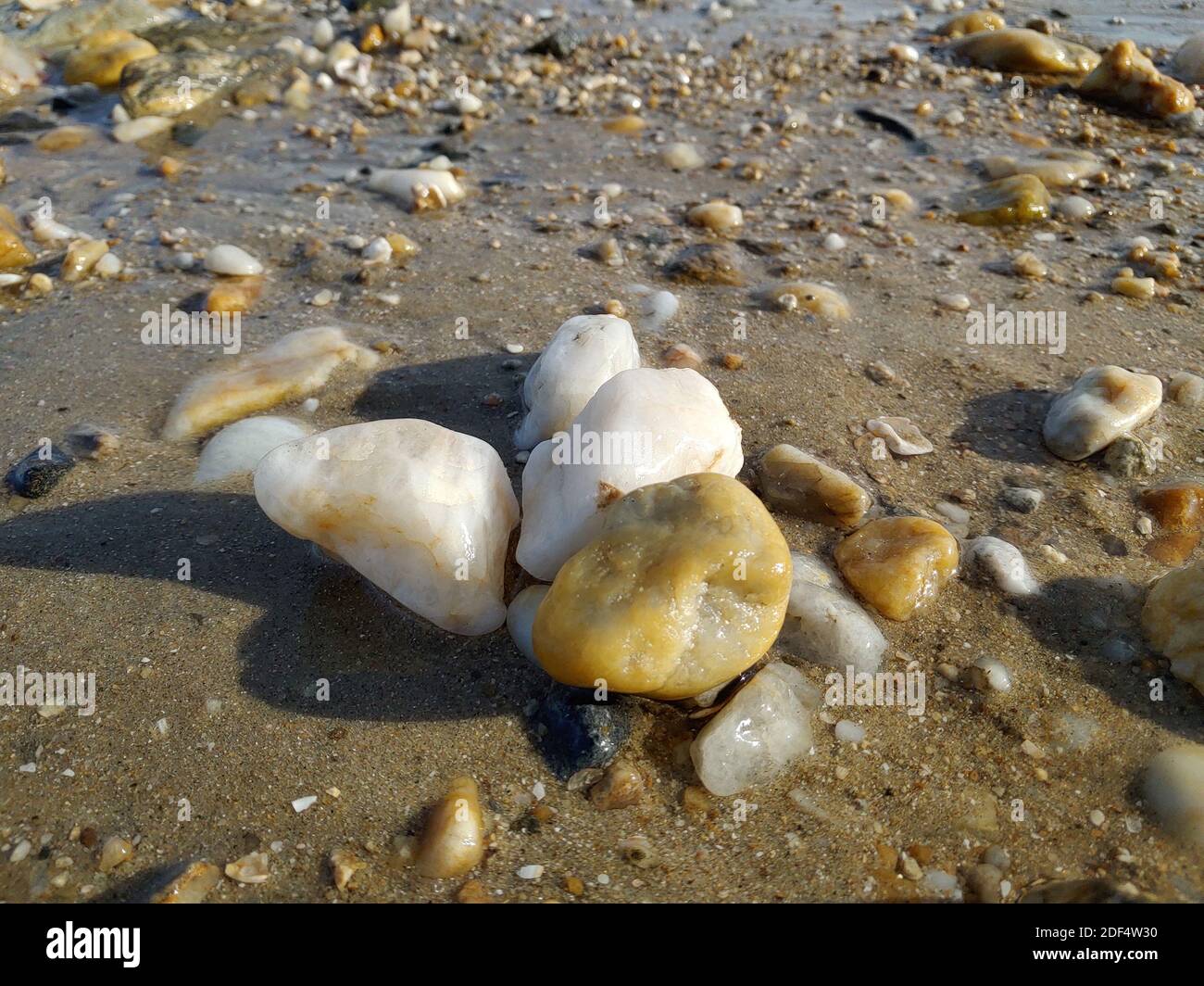 De petites rochers dispersés sur la plage de près Banque D'Images