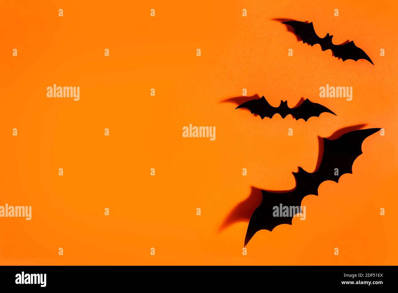 Halloween fond plat. Chauves-souris effrayantes sur fond de papier orange. Conception propre et minimale. Banque D'Images