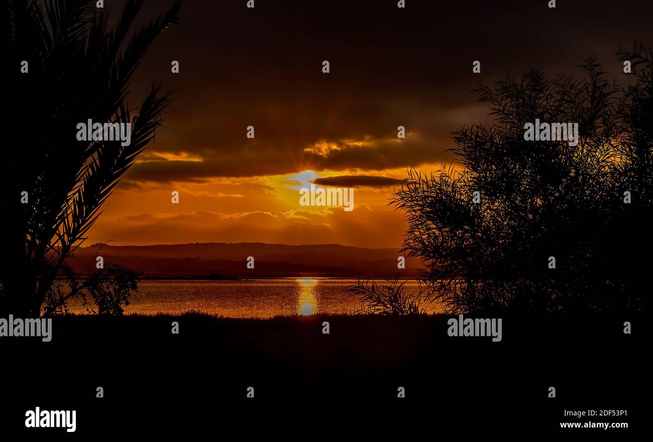 Coucher de soleil et silhouettes de palmiers au crépuscule. Banque D'Images