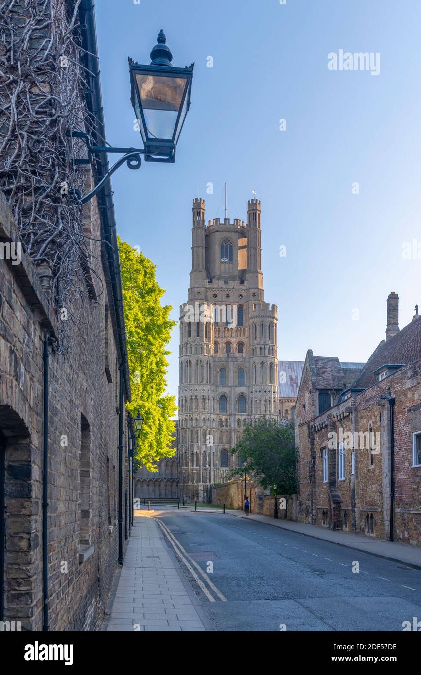 Royaume-Uni, Angleterre, Cambridgeshire, Ely, The Gallery, Ely Cathedral Banque D'Images