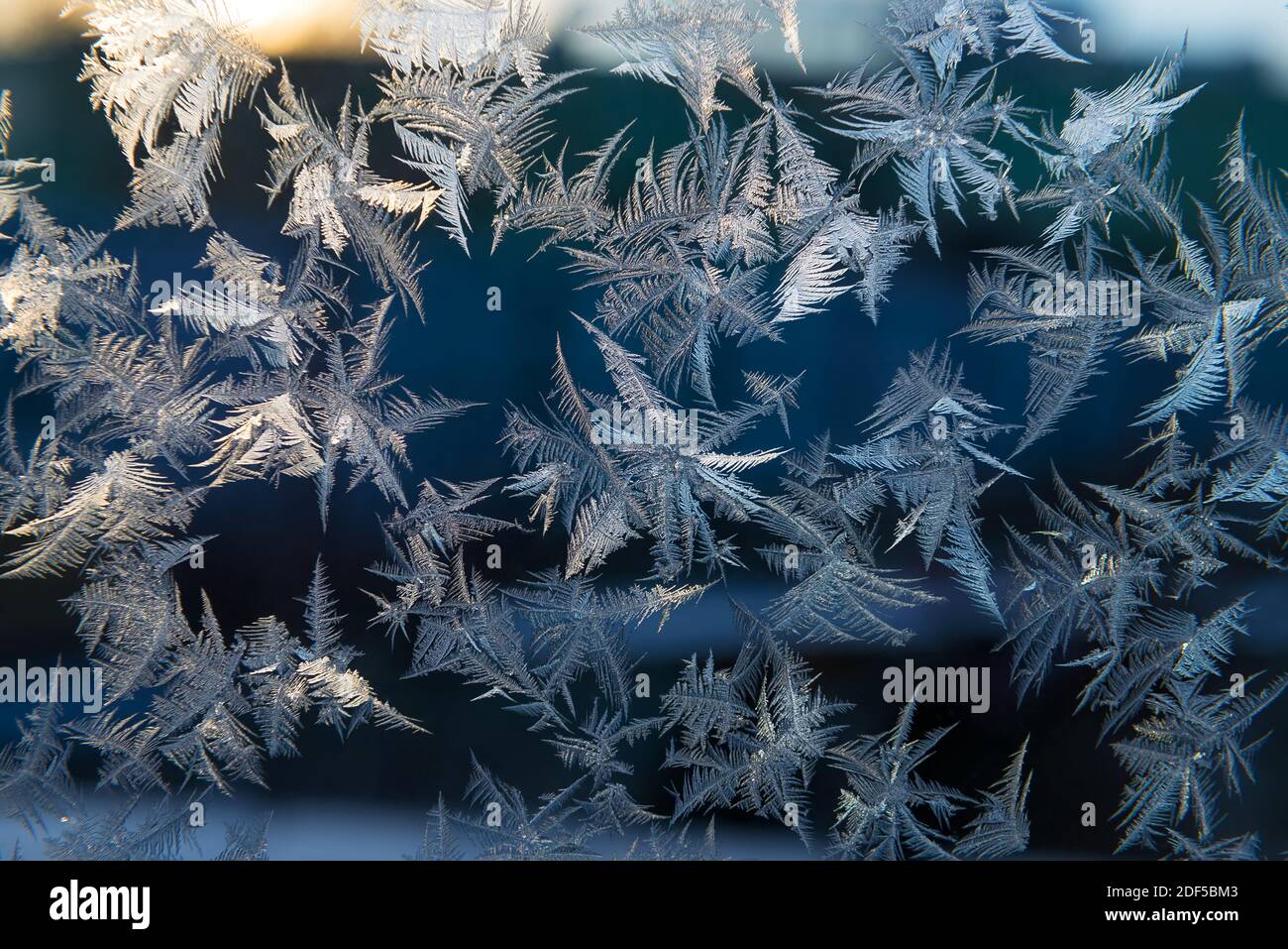 Magnifique motif givré naturel sur la fenêtre d'hiver. Motif de glace en hiver Banque D'Images