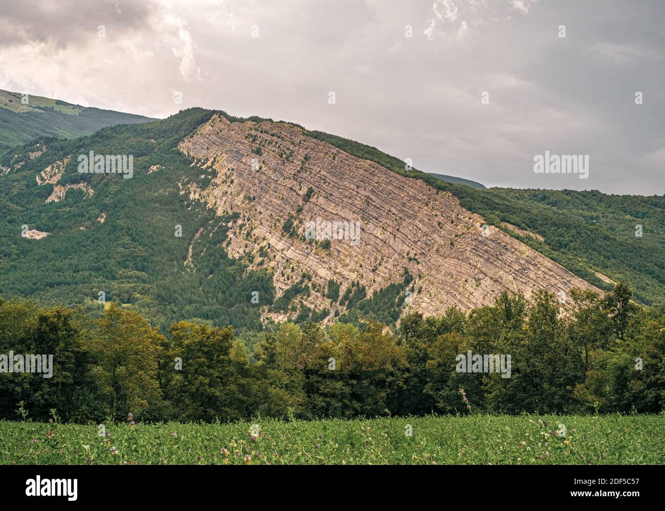 Faille géologique dans le paysage boisé, affleurement rocheux avec couches de sol visibles. Province de Modène, Émilie-Romagne, Italie. Banque D'Images