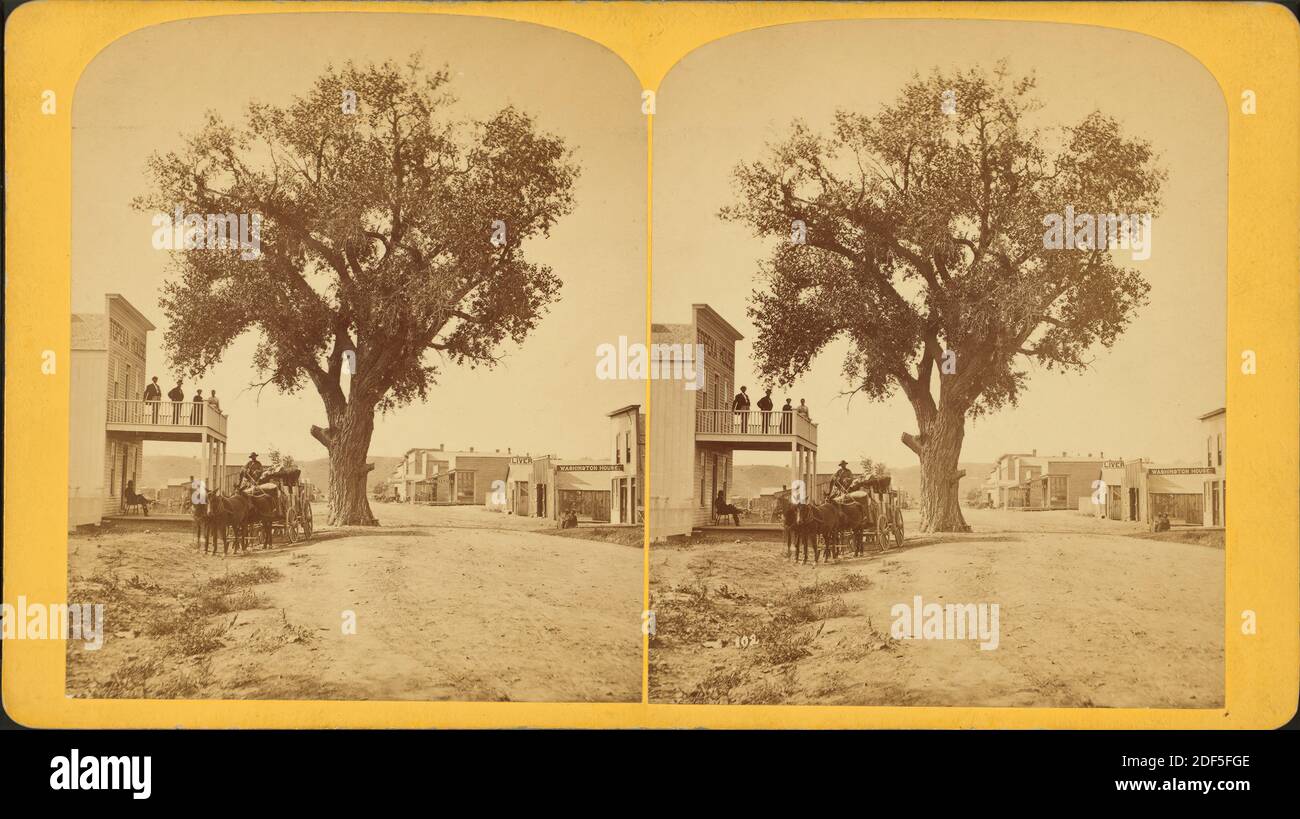 Le plus grand arbre de coton du Colorado, Fifth Street, South Pueblo., image fixe, stéréographes, 1850 - 1930, Gurnsey, B. H. (Byron H.) (1833-1880 Banque D'Images