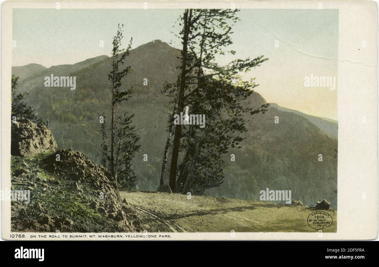 Mt. Washburn sur la route du sommet, parc national de Yellowstone, Wyo., image fixe, cartes postales, 1898 - 1931 Banque D'Images