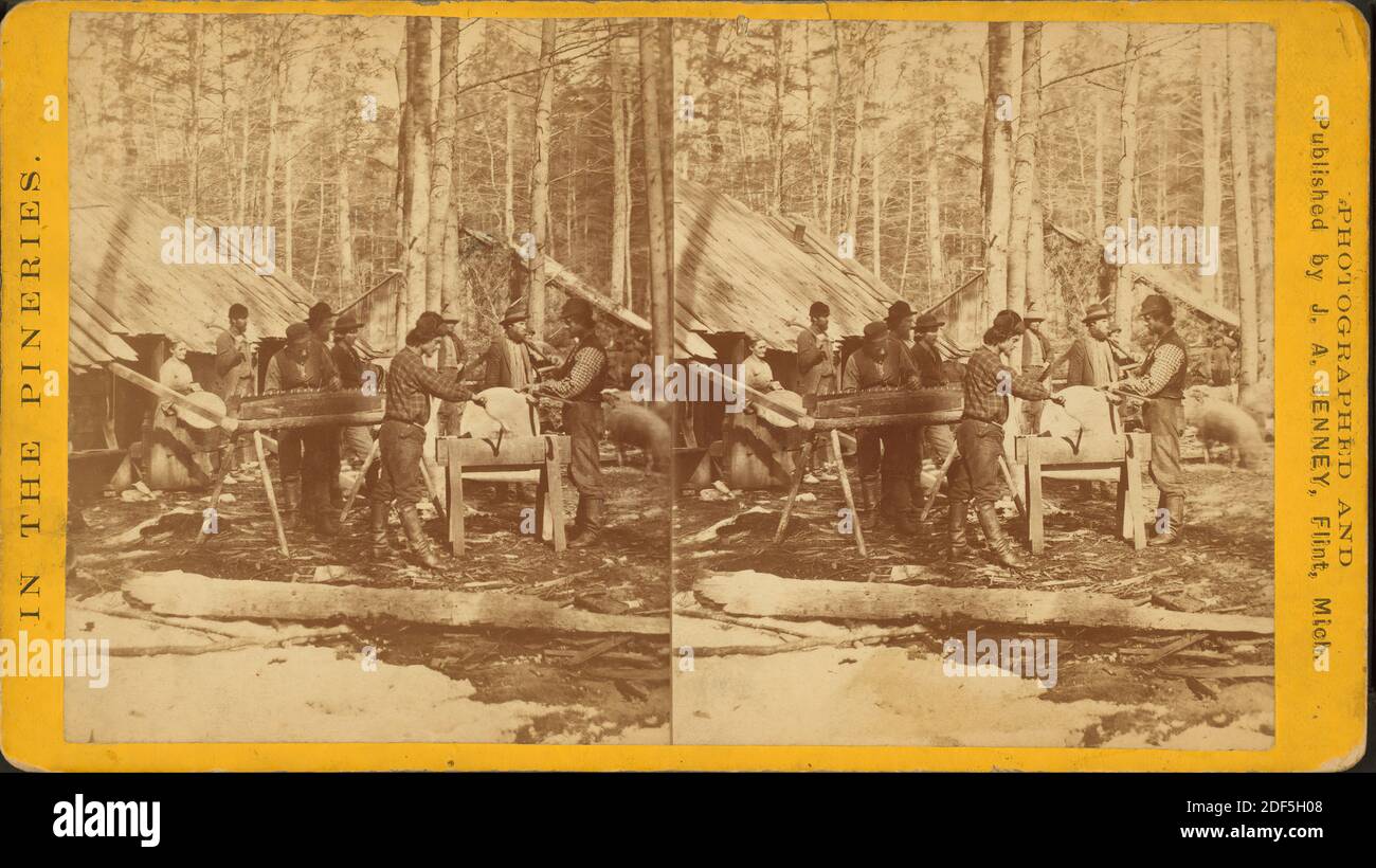 Campez à midi à Thomas Foster's., image fixe, stéréographes, 1850 - 1930, Jenney, J. A. (James A Banque D'Images