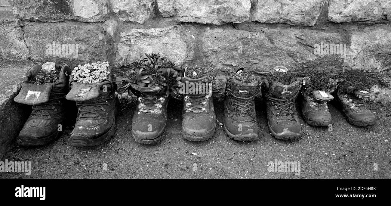 Planteurs de jardin Old Boot Banque D'Images