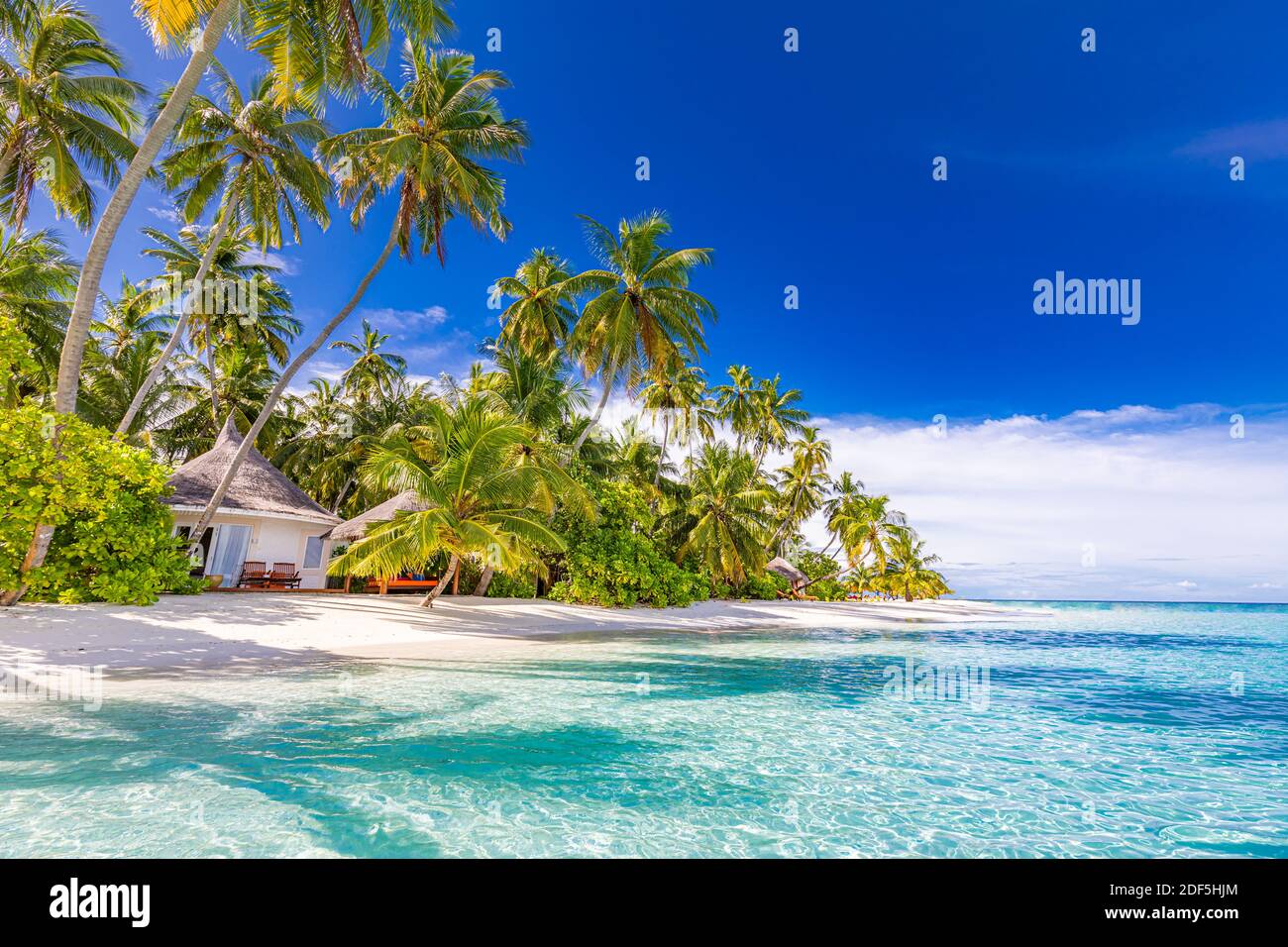 Superbe plage naturelle avec palmiers et ciel nuageux. Vacances d'été voyage vacances concept de fond. Maldives plage paradisiaque. Voyage de luxe en été Banque D'Images