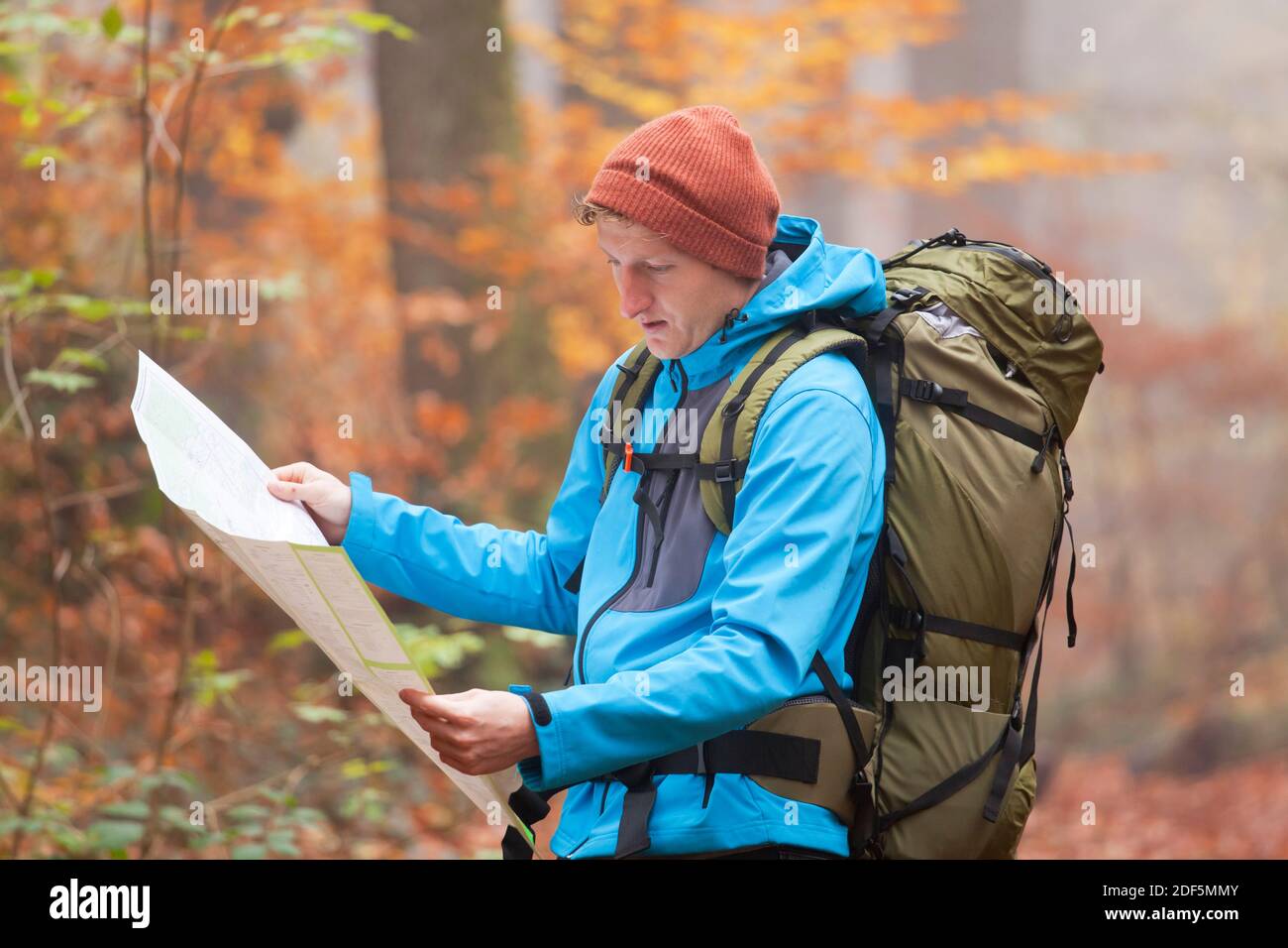 Jeune randonneur regardant une carte dans une forêt colorée à l'automne - mise au point sélective Banque D'Images