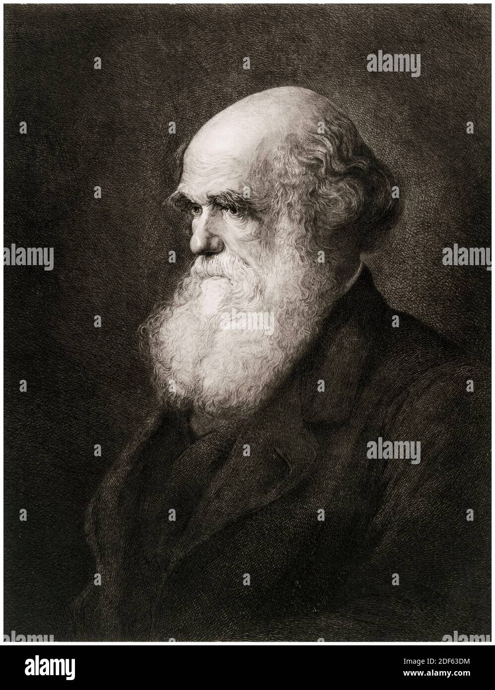 Charles Darwin (1809-1882), naturaliste anglais, géologue et biologiste, portrait gravé par G Mercier après WW Ouless, vers 1890 Banque D'Images