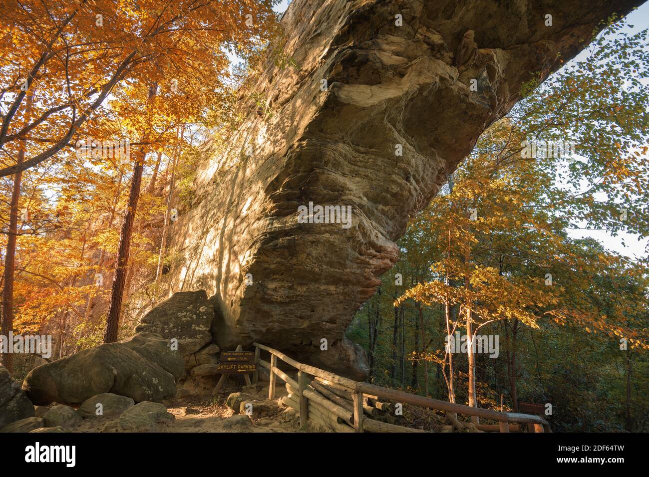 Daniel Boone National Forest, Kentucky, USA sous l'arche naturelle pendant l'automne. Banque D'Images