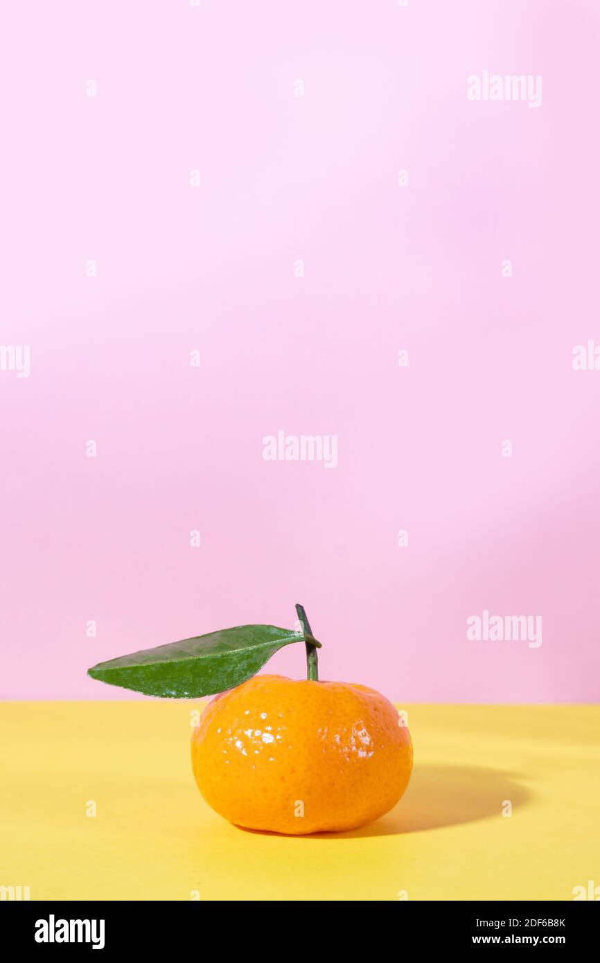 Mandarine orange mûre avec feuille sur fond rose et jaune espace de copie vertical Banque D'Images