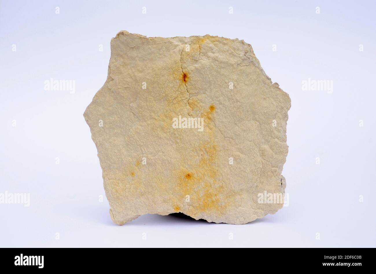 Le calcaire lithographique est une variété de calcaire à grain fin (carbonate de calcium). Cet échantillon provient de Sierra de Albarracin, Teruel, Aragon, Espagne. Banque D'Images