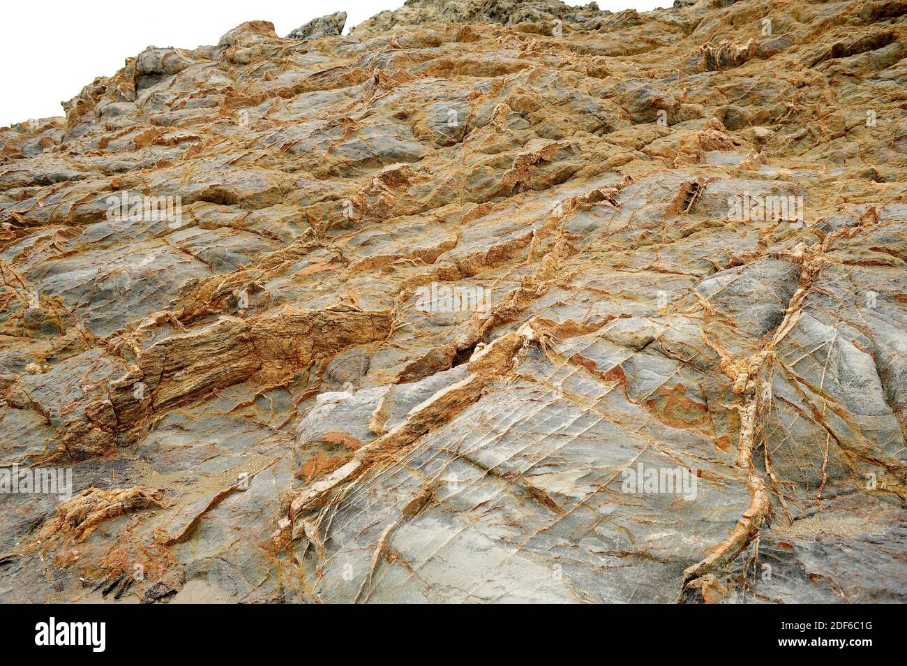 Dykes de quartz à travers la roche schiste. Cap Ras, Gérone, Catalogne, Espagne. Banque D'Images