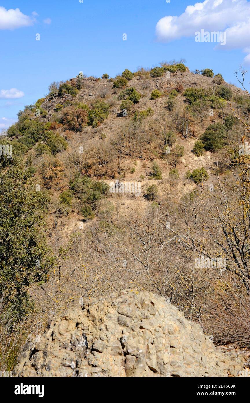Dôme Ophite. Ophite est une roche subvolcanique ignée. Cette photo a été prise à Caserras del Castillo, Huesca, Aragon, Espagne. Banque D'Images