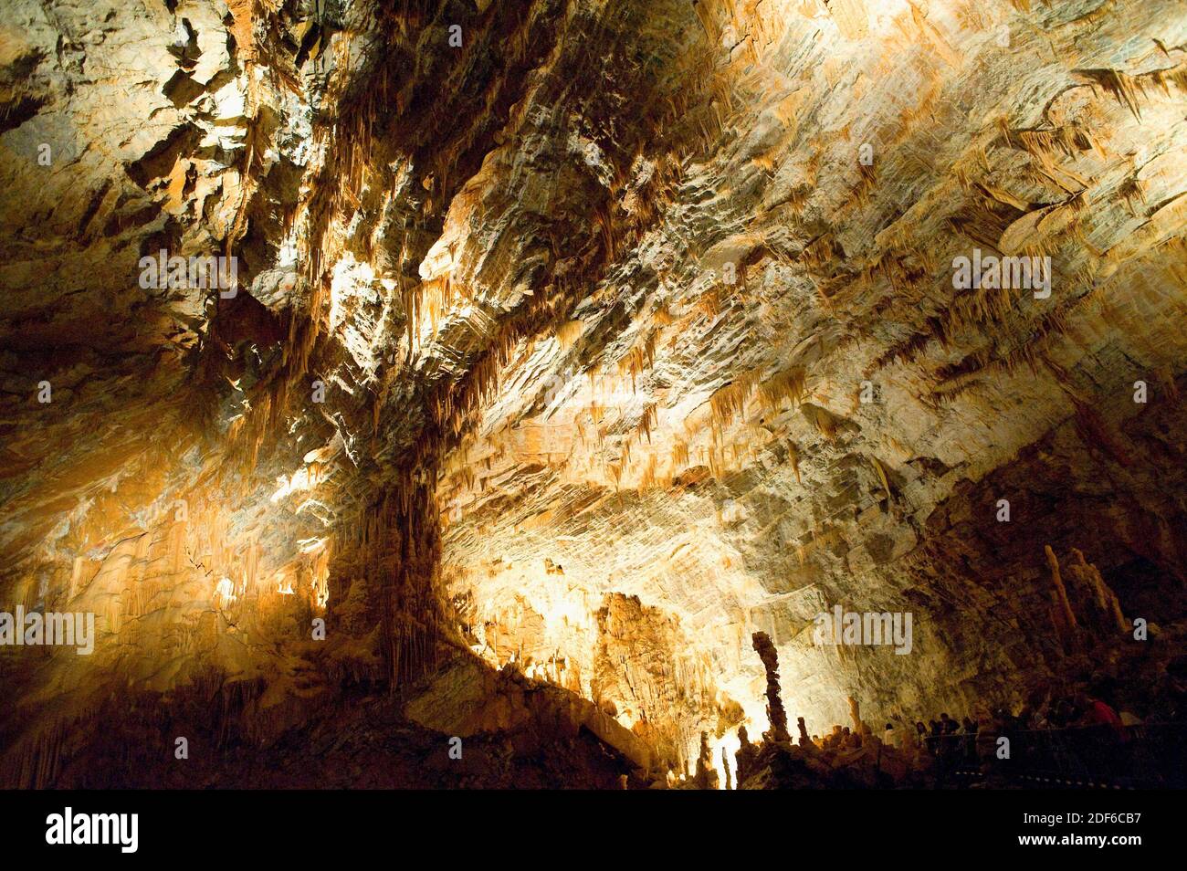 Gouffre géant de Cabrespine. Grotte avec stalactites et stalagmites. Aude, France. Banque D'Images