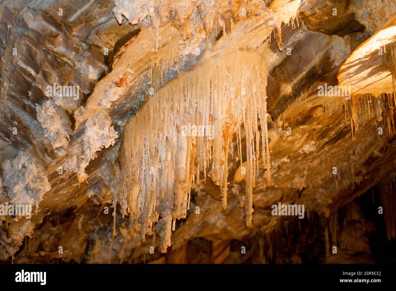 Gouffre géant de Cabrespine. Grotte avec stalactites. Aude, France. Banque D'Images