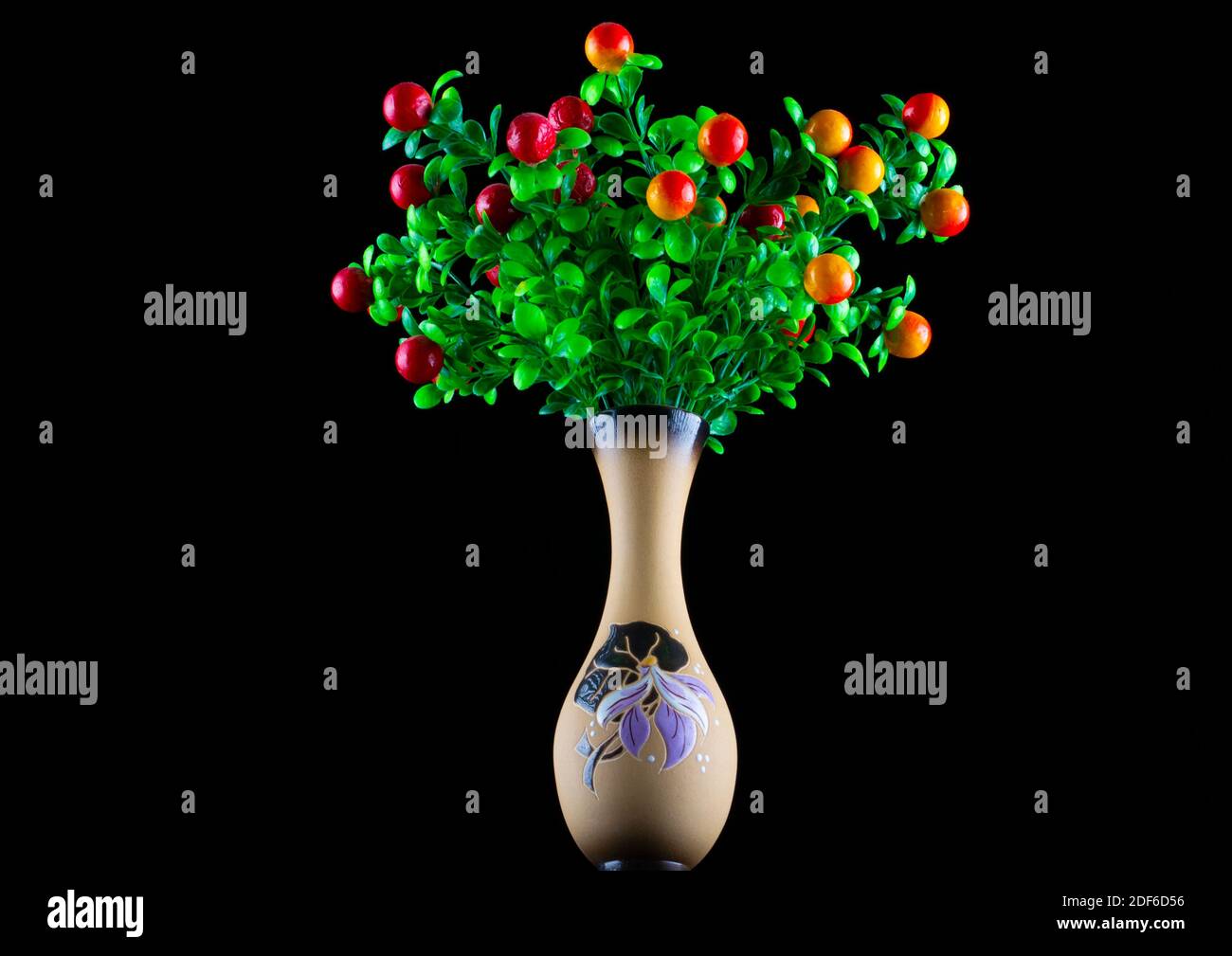 Plantes fantastiques avec des fruits dans un vase en céramique sur un arrière-plan noir Banque D'Images