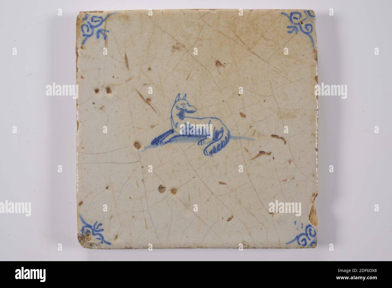 Carreau de mur, Anonyme, entre 1640-1700, glaçure d'étain, faïence, général: 13.2 x 13.4 x 1,2cm (132 x 134 x 12mm), chien, loup, carreau de mur de faïence recouvert de glaçure d'étain et peint en bleu. La tuile montre un loup couché ou un chien orienté à gauche, au centre. La tuile a une tête de boeuf comme un motif de coin, 1995 Banque D'Images