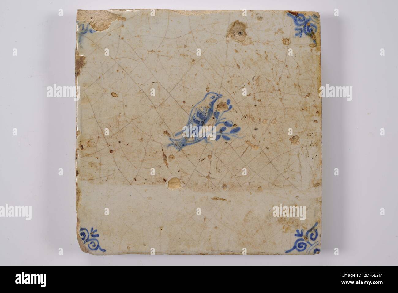 Carreau de mur, Anonyme, entre 1640-1700, glaçure d'étain, faïence, général: 13.5 x 13.5 x 1,2cm (135 x 135 x 12mm), oiseau, arbre, carreau de mur de faïence recouvert de glaçure d'étain et peint en bleu. La tuile représente un oiseau orienté vers la droite sur une branche avec des feuilles. La tuile a une tête de boeuf comme un motif de coin, 1995 Banque D'Images