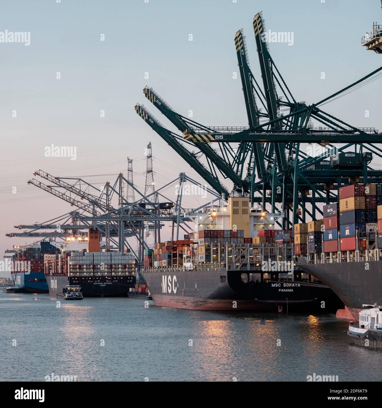 Grues et navires à conteneurs dans le port d'Anvers Banque D'Images