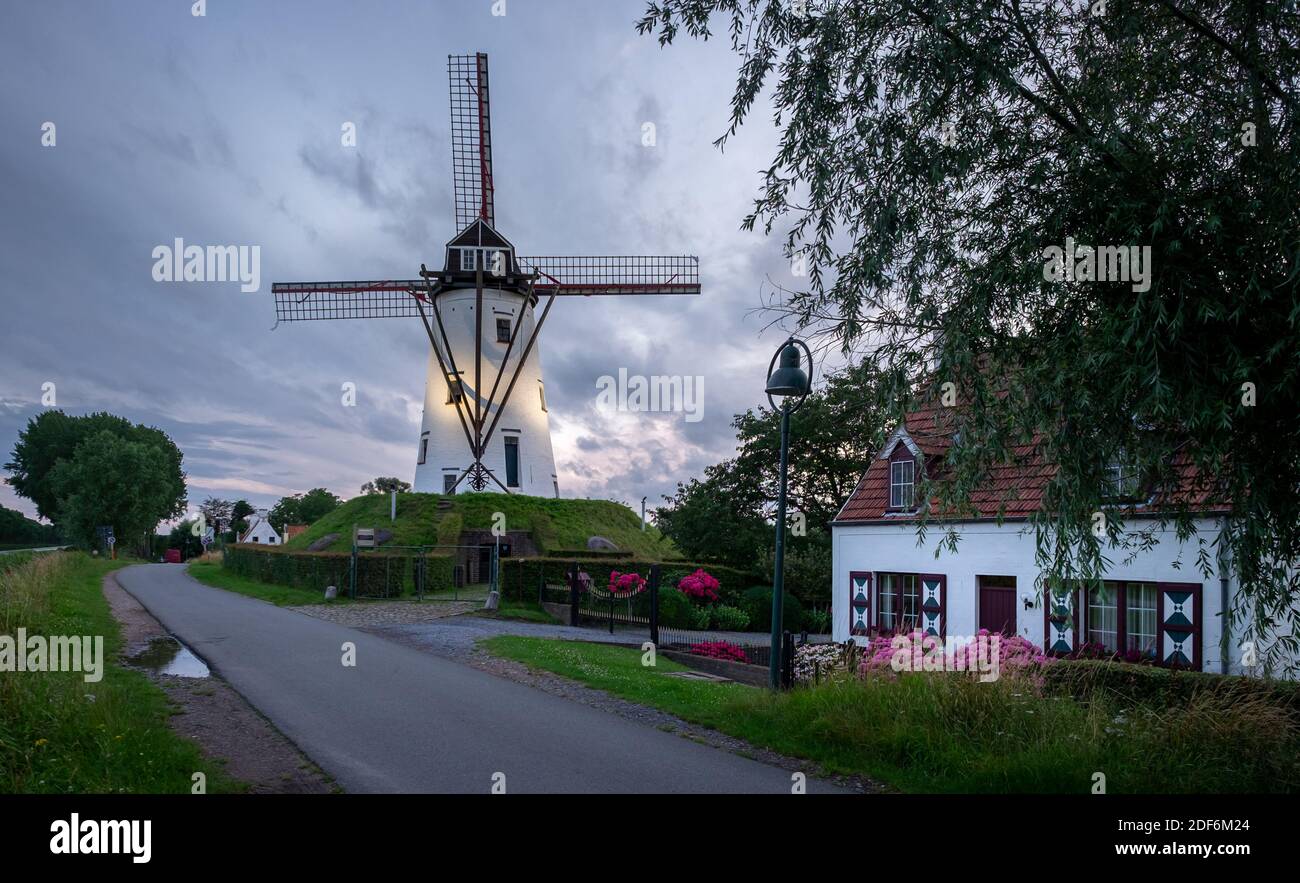 Ancien moulin à vent de Damme, Belgique connu sous le nom de Hoeke Mill (Hoekemolen) Banque D'Images