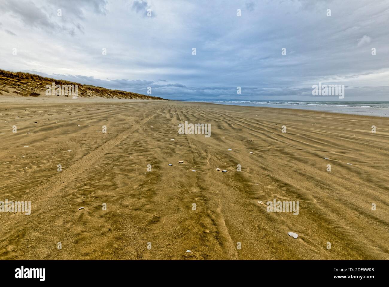 90 km de plage à l'extrémité supérieure de North Island Nouvelle-Zélande Banque D'Images