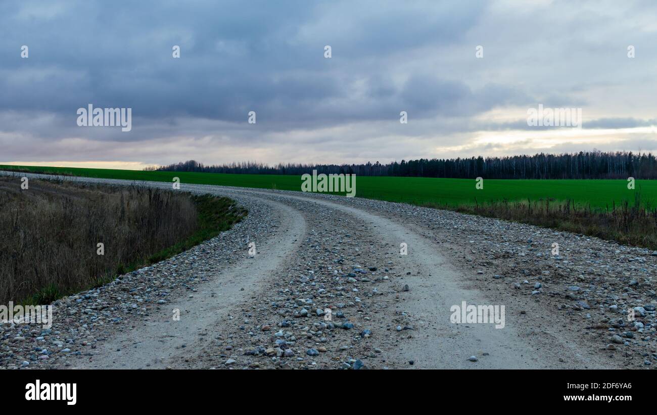 Marques de pneus dans la route de sable de campagne, vue en perspective, champ d'herbe de prairie verte, nuages de soir dans le ciel Banque D'Images