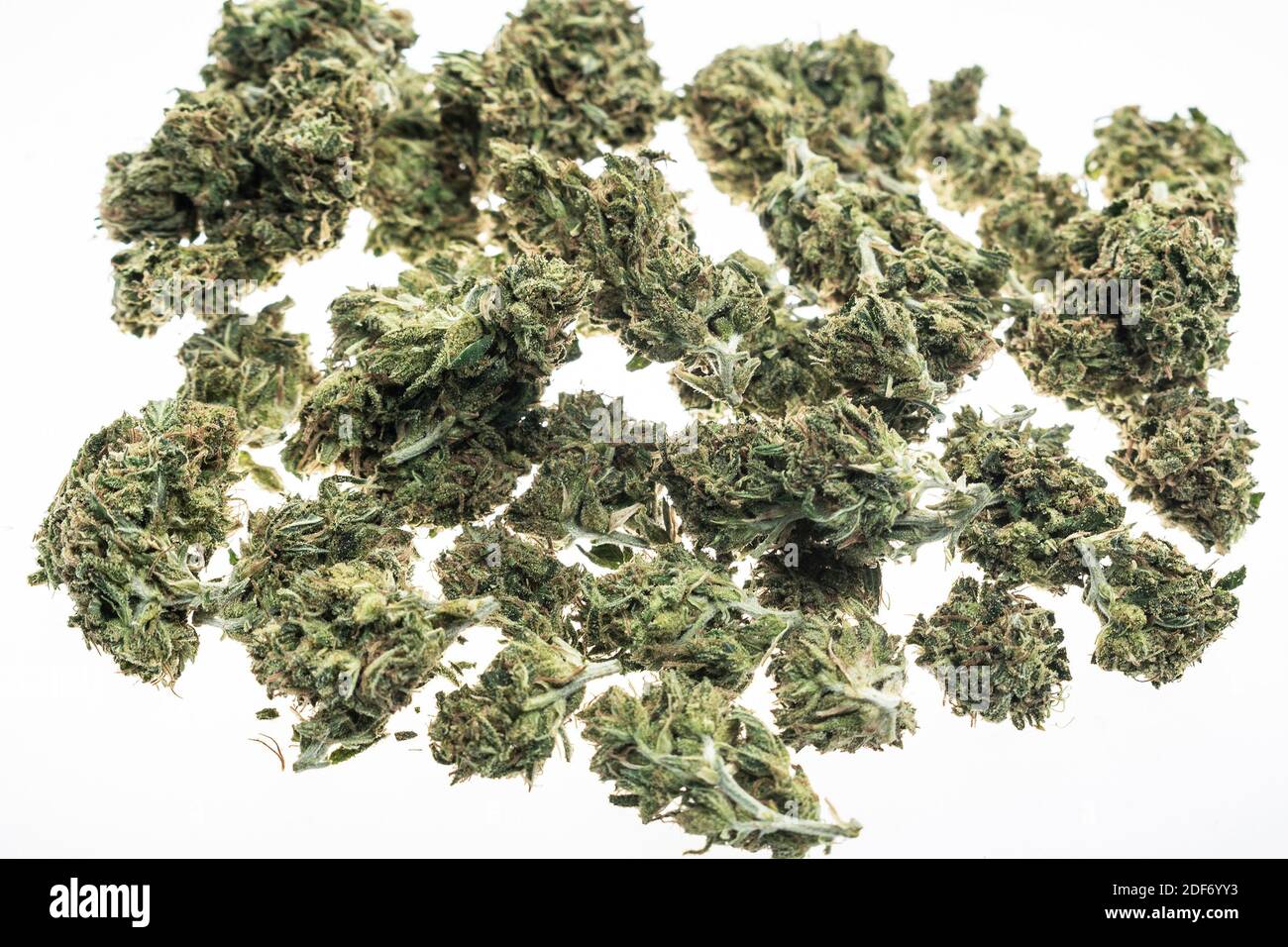 des bourgeons médicaux de cannabis de marijuana se rapprochent sur fond de studio blanc à amsterdam Banque D'Images