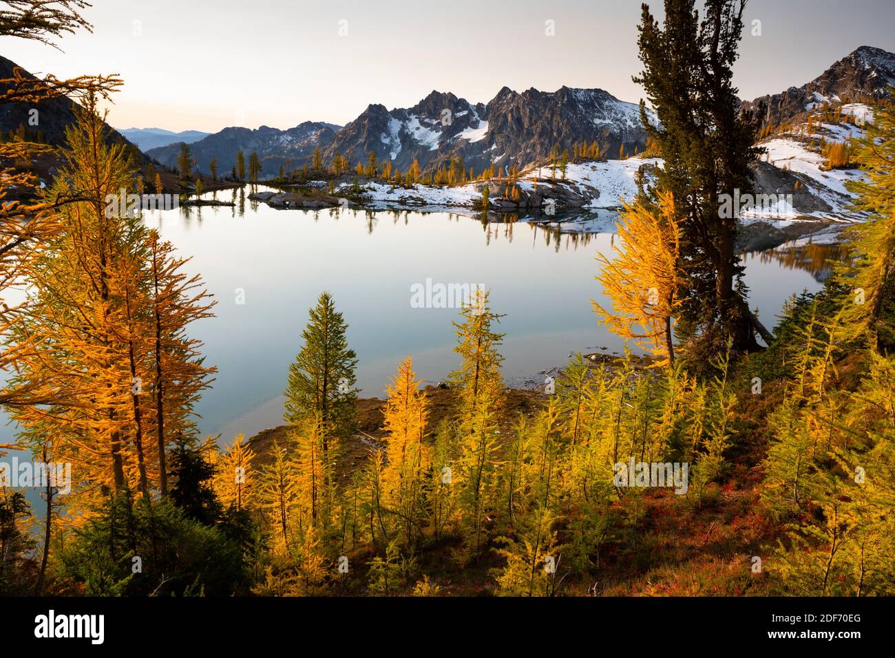 WA18653-00...WASHINGTON - mélèze subalpin aux couleurs vives de l'automne au-dessus du lac Lower Ice dans la région sauvage des lacs alpins. Banque D'Images