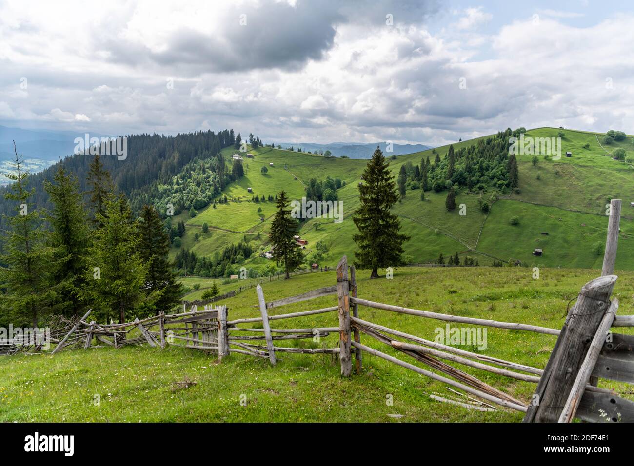 Paysage de printemps, Bucovina, Roumanie, Paysage de montagne, Folwers au sommet des montagnes, Green Field, Banque D'Images