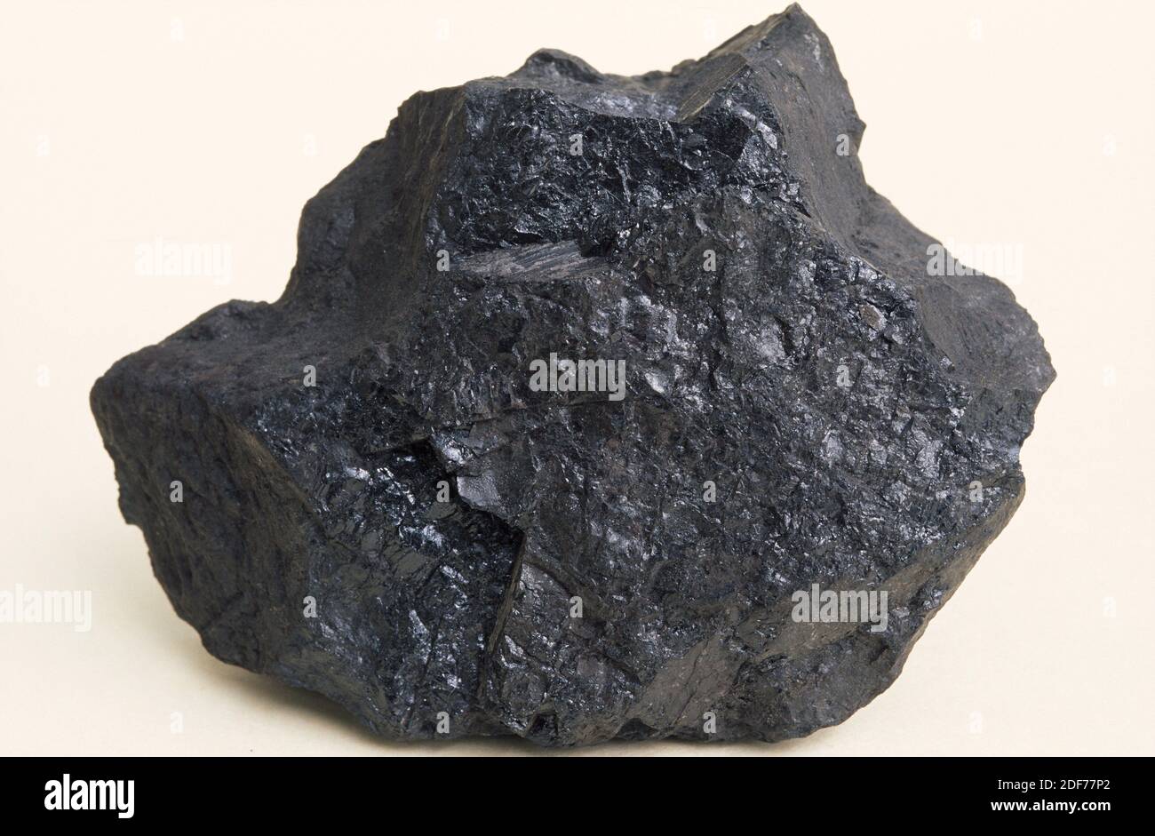 Le charbon bitumineux est une roche sédimentaire organique. Exemple. Banque D'Images