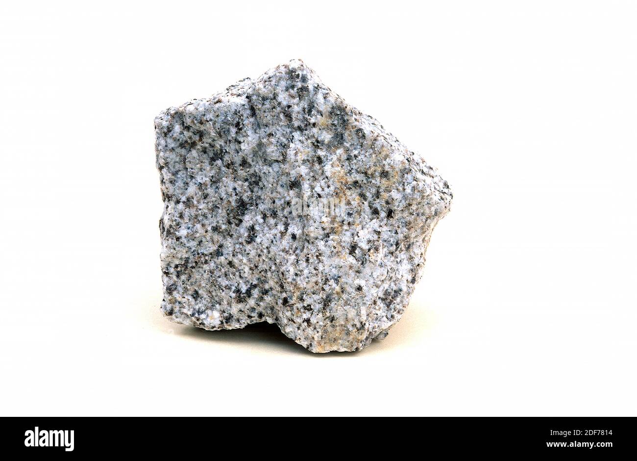 La granodiorite est une roche intrusive ignée semblable au granite mais plus riche en plagioclase. Exemple. Banque D'Images