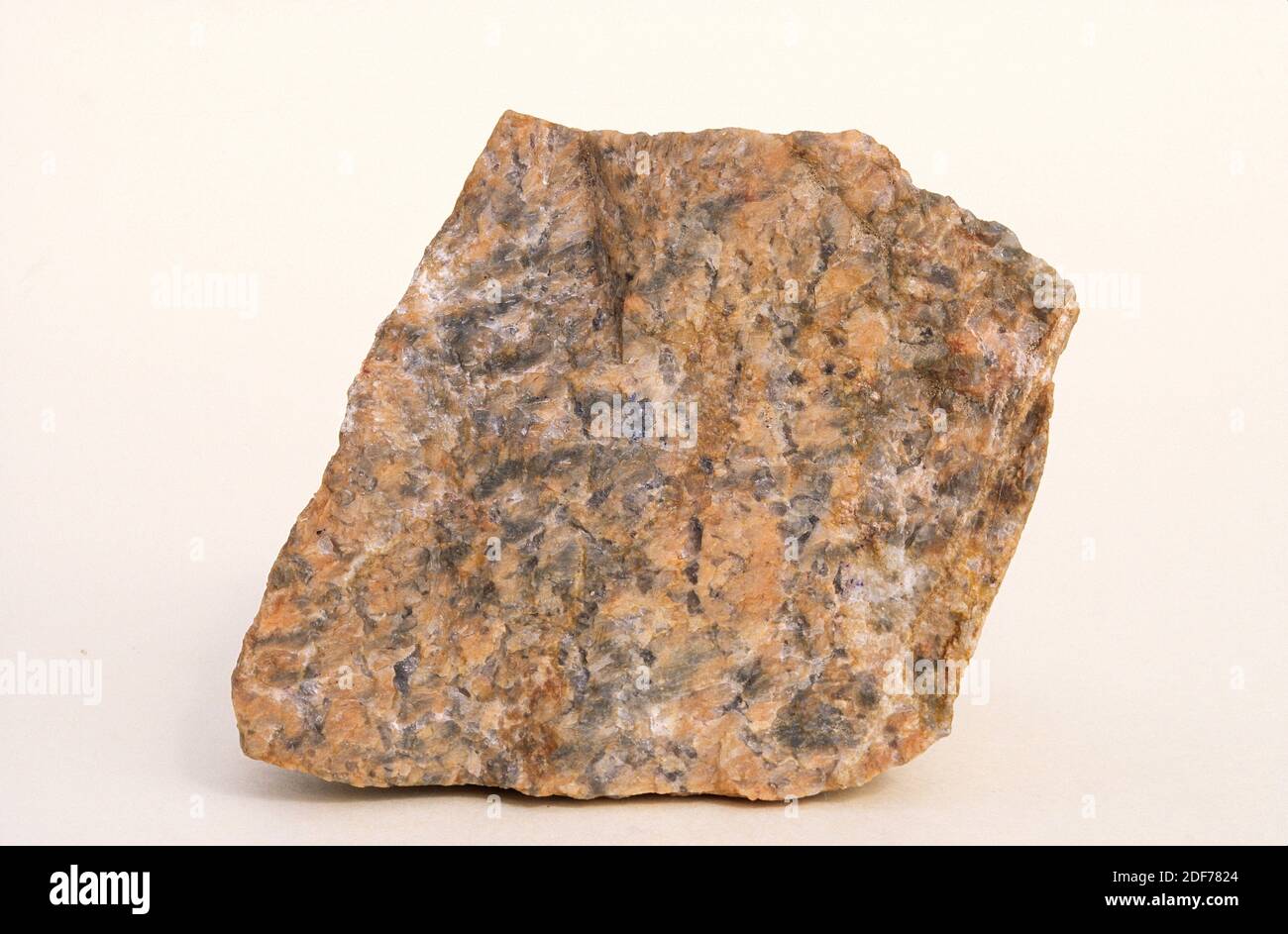 Pegmatite graphique. La pegmatite est une roche sous-volcanique ignée de composition similaire en granit. Exemple. Banque D'Images