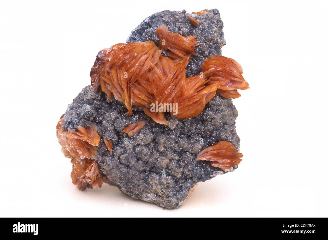 Baryte (orange) et cerussite (gris). Le baryte ou la barite est un minéral sulfate de baryum. Le cerussite est un minerai de carbonate de plomb. Échantillon cristallisé. Banque D'Images