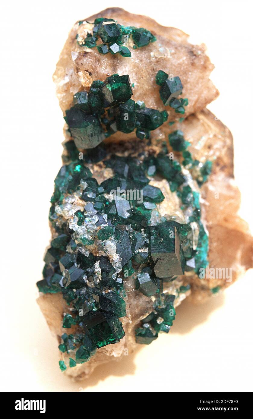 La dioptase est un minéral au silicate de cuivre. Échantillon cristallisé. Banque D'Images