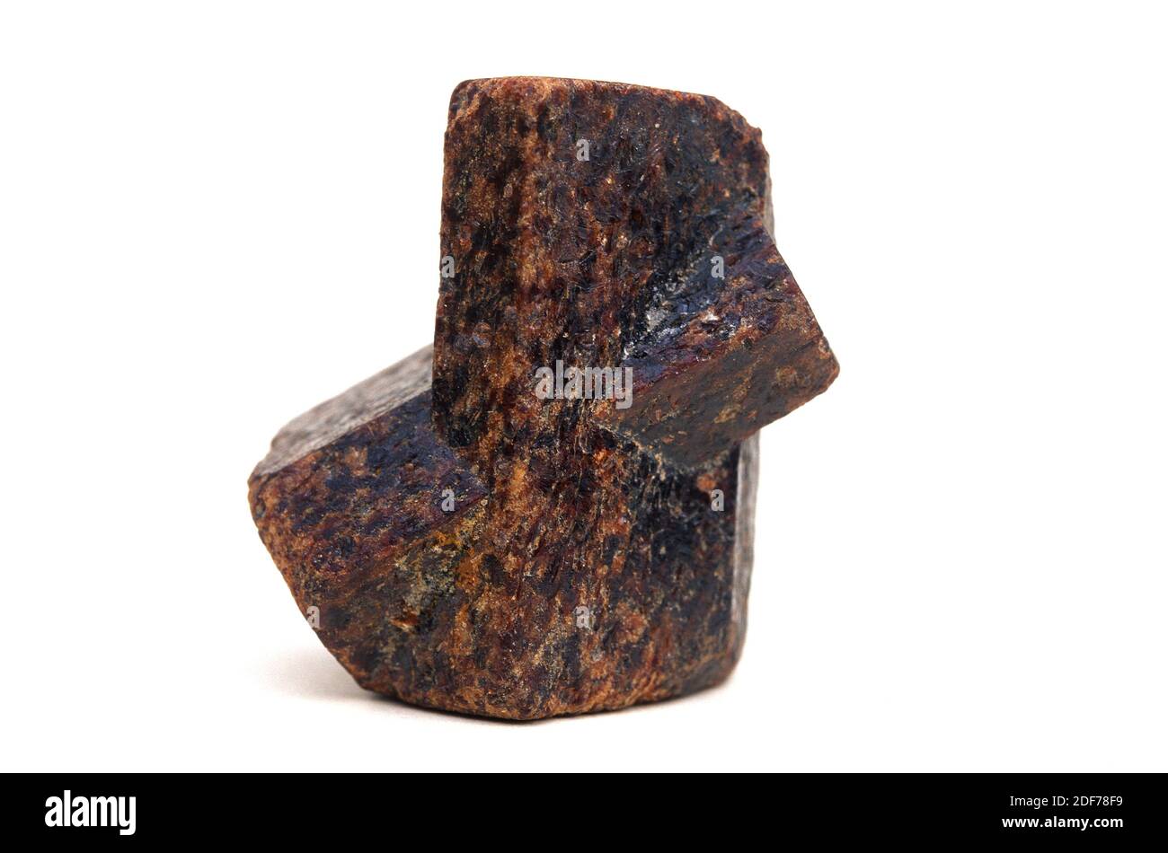 La staurolite est un minerai de silicate d'aluminium de fer. Présentation en forme de croix. Banque D'Images