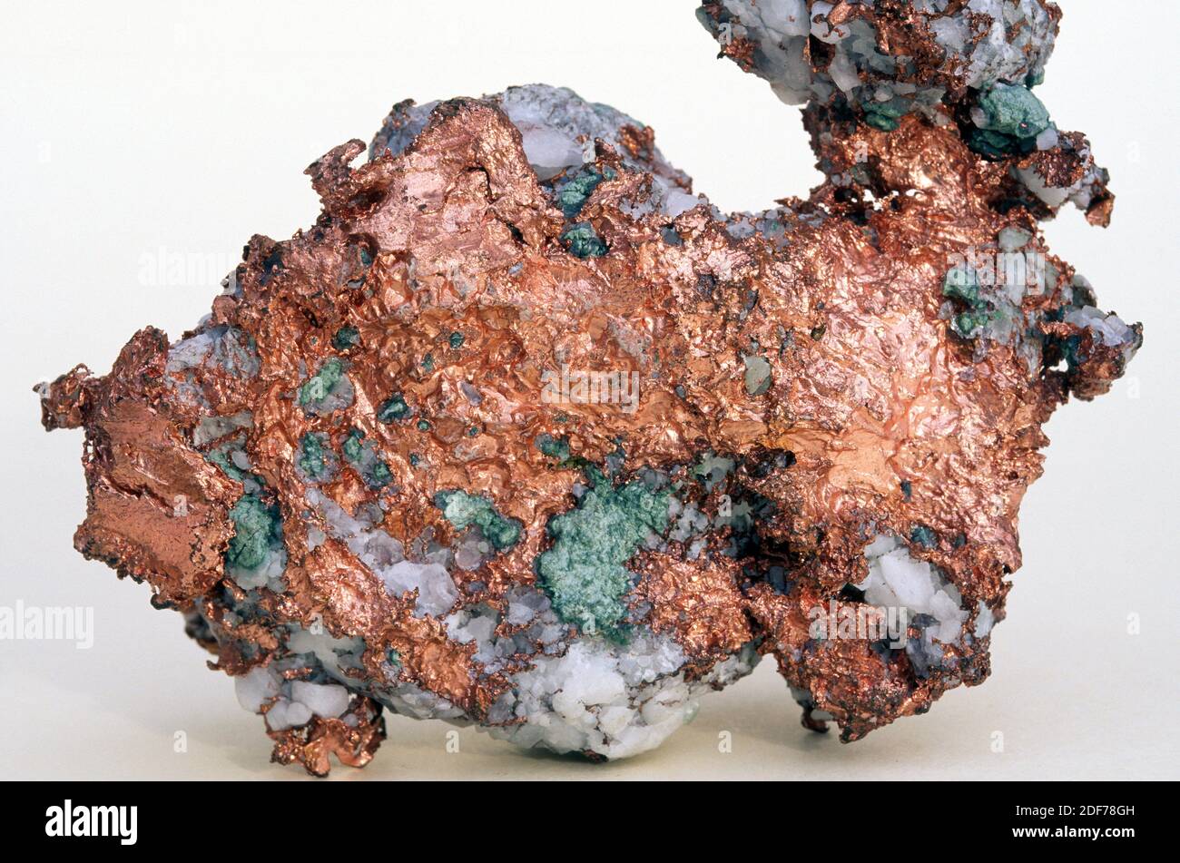 Le cuivre natif est un minéral métallique. Exemple. Banque D'Images