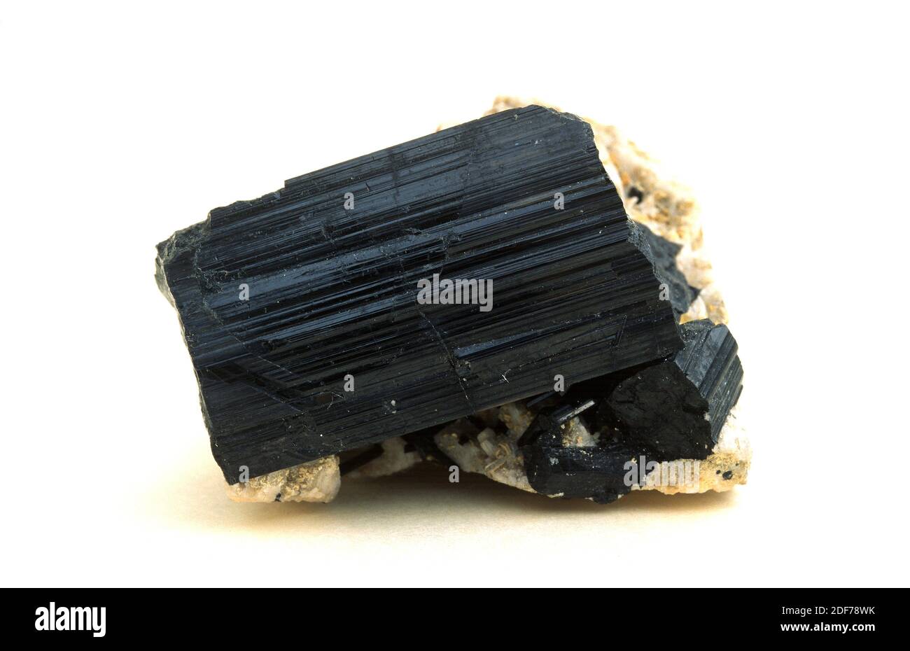 La tourmaline est un minéral au silicate de bore. Cristaux prismatiques noirs sur la matrice. Banque D'Images