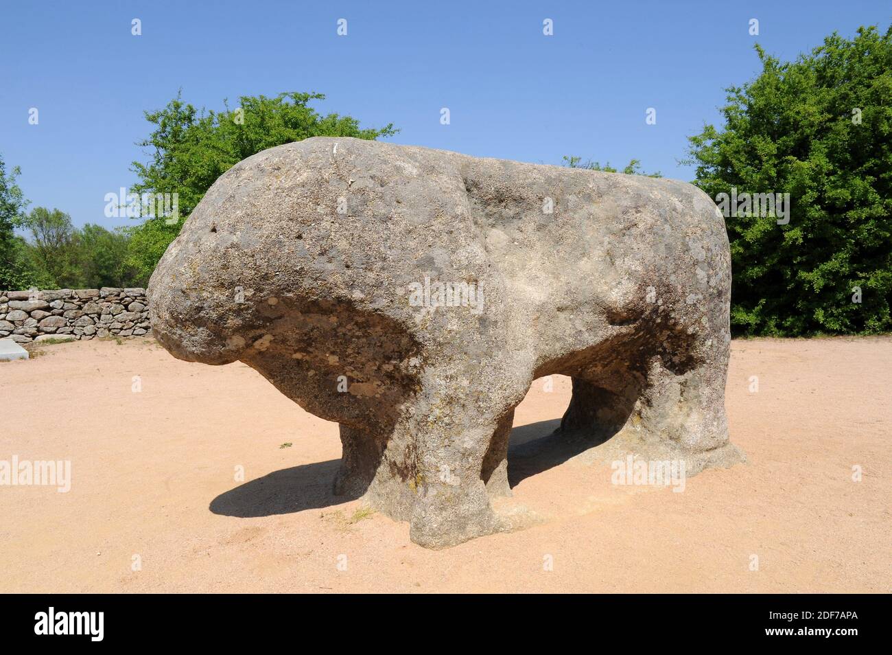 Toros de Guisando, culture celtique (vetones). Taureaux en granit. El Tiemblo, province d'Avila, Castilla y Leon; Espagne. Banque D'Images