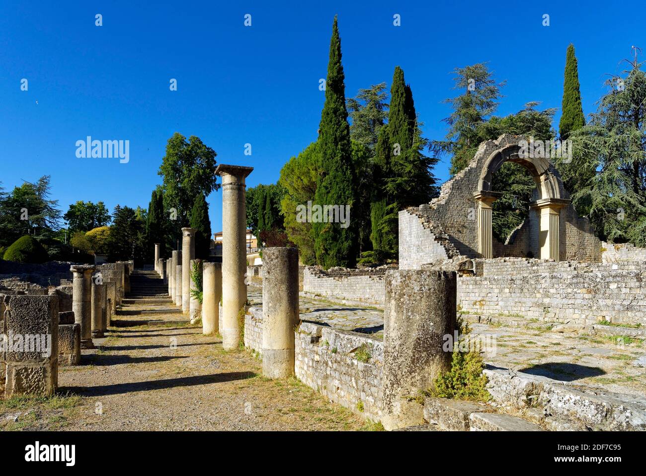 France, Vaucluse, Vaison la Romaine, parc archéologique, site de la Villasse, le forum Banque D'Images