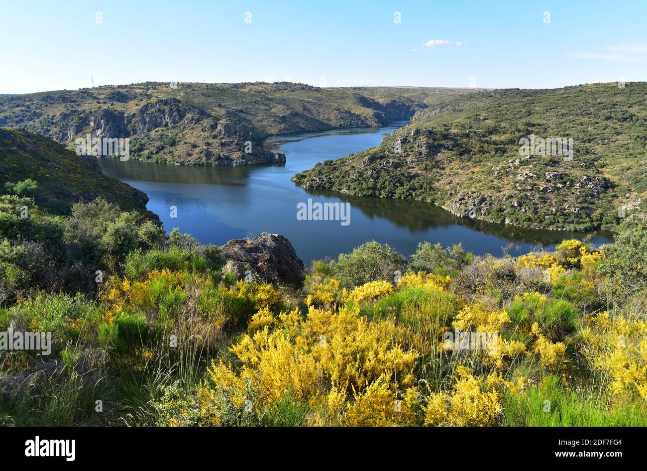 Les rivières Duero et Esla se confluent près d'Abelon, province de Zamora, Castilla y Leon, Espagne. Banque D'Images