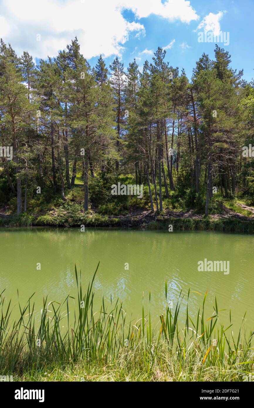 France, Alpes-Maritimes, Andon, lac Thorenc Photo Stock - Alamy